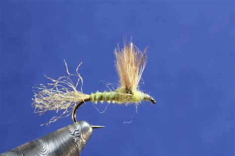 Fly Fishing And Fly Tying Biot Body CDC And Deer Hair Comparadun