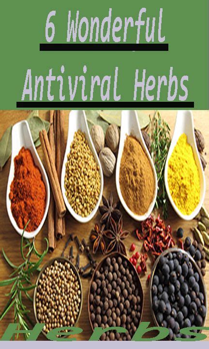 The oldest antiviral medication for herpes is acyclovir. 6 Wonderful Antiviral Herbs | Natural appetite suppressant ...