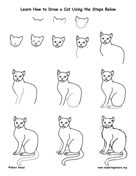 Instreamsetdrawing Tutorial And Aspcat How To Draw A Cat Do Any