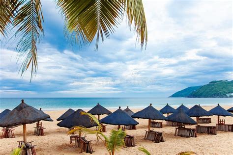 Palms And Sea Relax Tropical Tourism Lanscape Stock Image Image Of