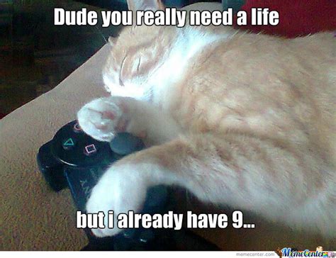 Gamer Cat By Berre Meme Center