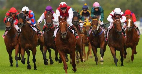 Horse Race Betting Bet On Horses With Sms Racing