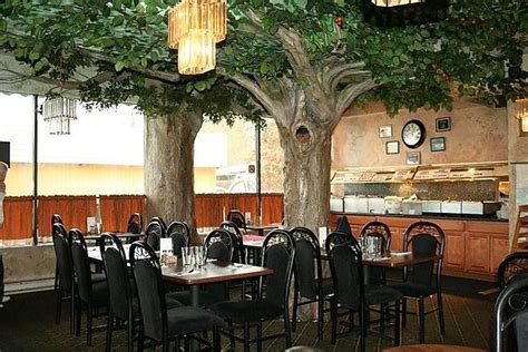 Excellent! good good, good service, good food inspection ratings. pad sew ew. Taste of India - Eugene | Artificial trees, Restaurant ...