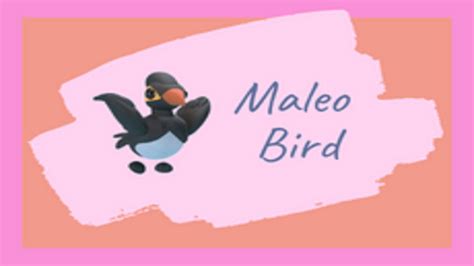 Whats A Maleo Bird Worth In Adopt Me Adopt Me Trade Checker