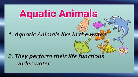 10 Lines On Aquatic Animals Short Essay On Aquatic Animals Ashwin