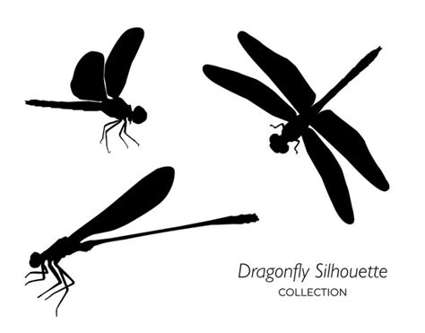 Dragonfly Silhouette Royalty Free Images Stock Photos And Pictures