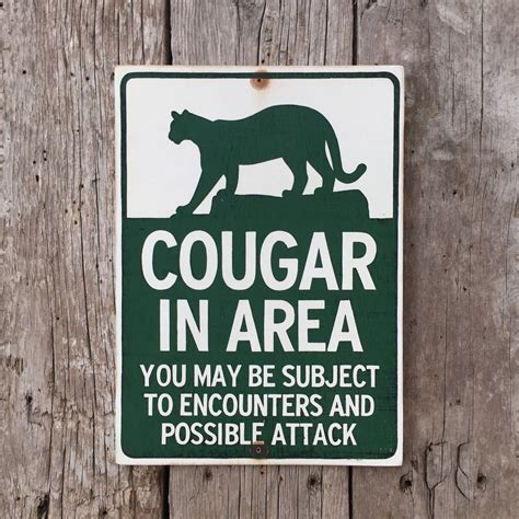 Cougar In Area Warning Sign Handmade Vintage Mountain Lion Etsy