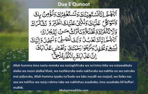 Dua E Qunoot With English Translation Muhammadi Site