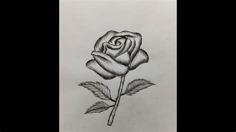 Rose flower in full bloom. How to draw a Rose-Easy for beginners - YouTube