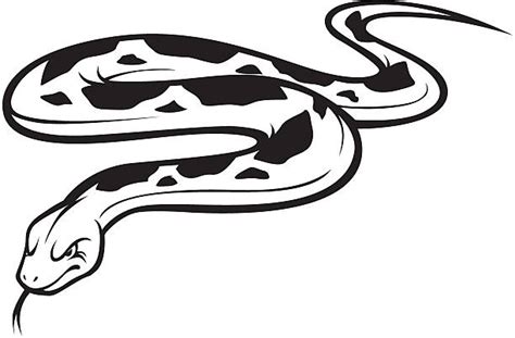 Burmese Python Illustrations Royalty Free Vector Graphics And Clip Art