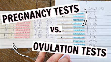 Pregnancy Test Line Progression Vs Ovulation Test Line Progression