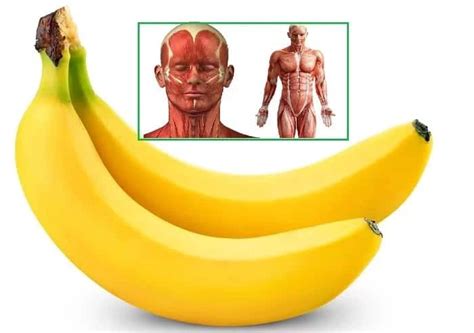 If You Eat 2 Bananas Per Day For A Month This 7 Things Will Happen To Your Body Fleekloaded