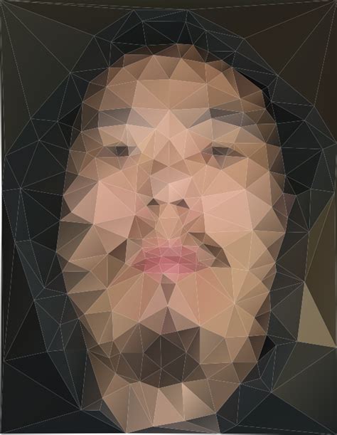 Polygon Art Link To Triangulator App On P Page GIMP Chat