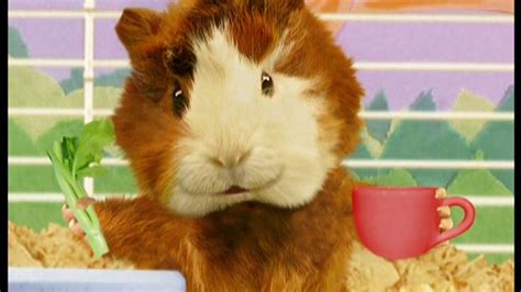 The Wonder Pets E Episode 112 Watch Full Videos Of The Wonder
