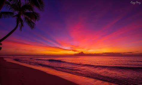 10 beautiful sunset photos that will make you want to visit barbados lizzy davis