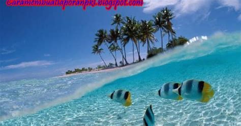 Namun, ada trik yang membuat cv milikmu lebih disukai oleh para hrd! Laporan Hasil Penelitian Ekosistem Pantai | Cara Membuat ...