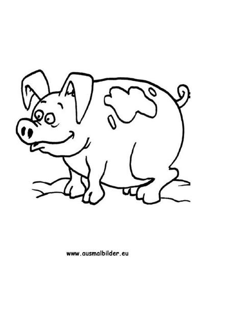 Ausmalbilder von schweine in der kategorie tiere. Ausmalbild Schwein zum kostenlosen Ausdrucken und Ausmalen ...