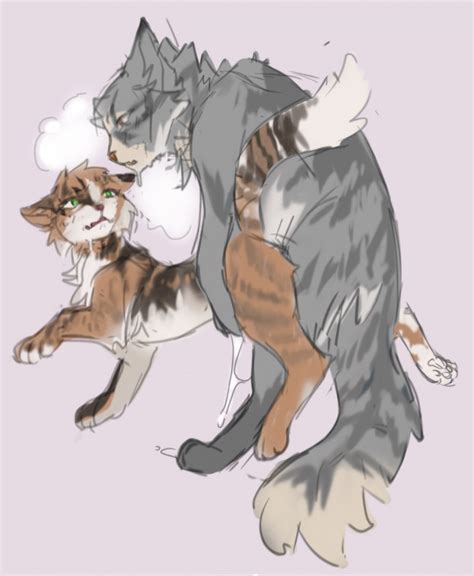 Post 3265354 Plumbelly Spottedleaf Thistleclaw Warriorcats