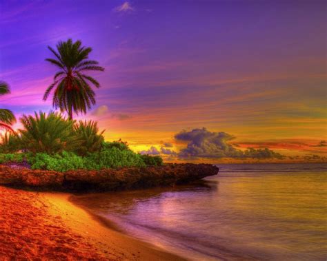 Free Download Sunrise Tropical Beach 15592 Wallpaper Wallpaper Hd