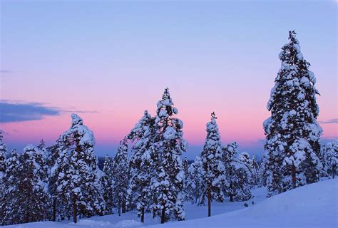 Purple Sunset In Lapland Photograph By Abrahan Fraga Pixels