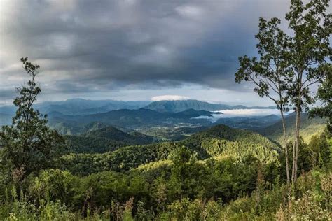 Top 5 Smoky Mountain Webcams You Can Watch From Home