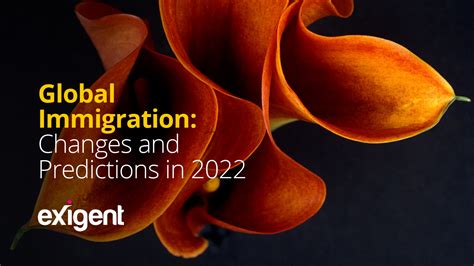 Global Immigration 2022 Changes And Predictions