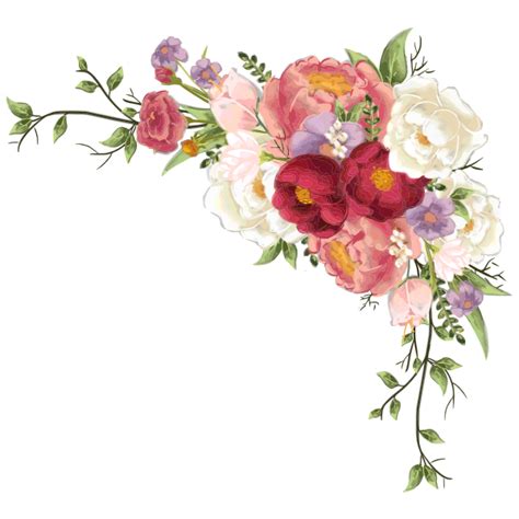 Peonies Flower Svg Split Peony Floral Border Png Hand Drawn Etsy My XXX Hot Girl
