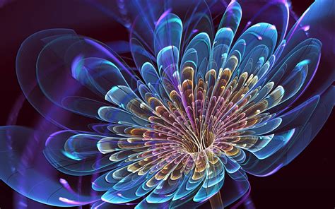 Cool Abstract Flower Wallpapers Backgrounds Images Art Photos