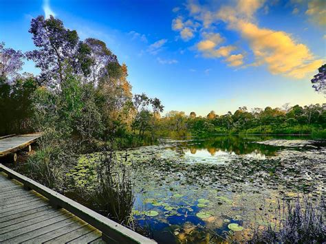 Berrinba Wetlands Attraction Queensland