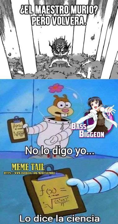 Memes De Fairy Tail No Lo Digo Yolo Dice La Ciencia Wattpad