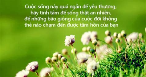 Những Câu Nói Về Tình Yêu Thương Đánh Giá