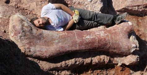 This Is The Largest Dinosaur Ever Discovered A New Species Of Titanosaur Unearthed In Argentina