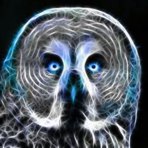 Owl Fractal By Dzikir Fractal Art Fractals Deviantart Bird Nature
