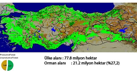 Pınar Yuğit TFC Türkiye Orman Varlığı Haritası