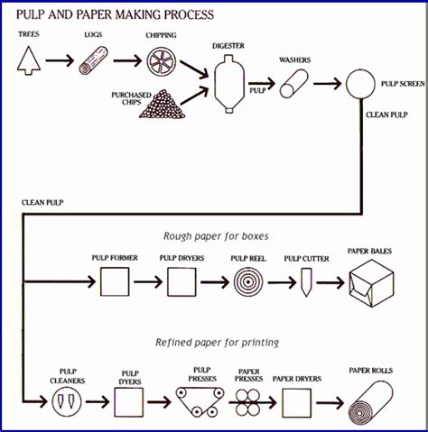 The Diagram Gives Information About The Process Of Making Pulp And