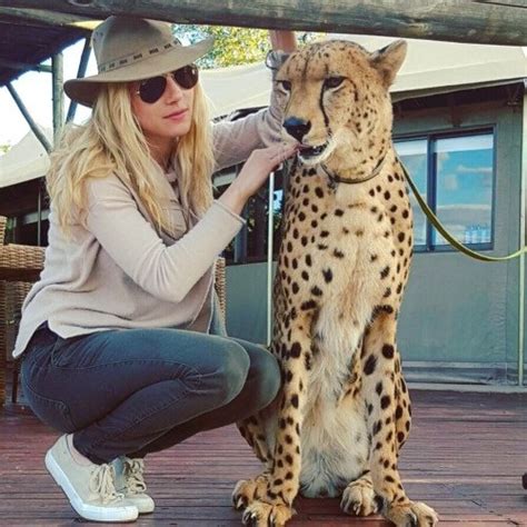 The Best Places To Pet Cheetahs In South Africa Greater Good Sa