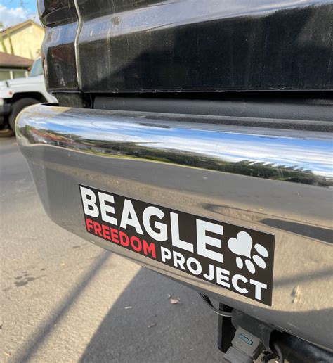 Magnets Bfp Logo Car Bumper Magnet Beagle Freedom Project™