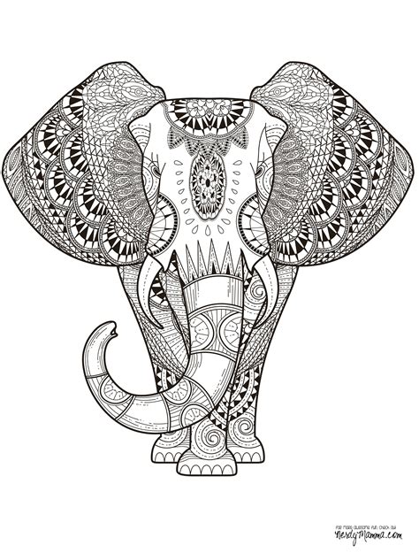 Elephant Face Coloring Page Adult