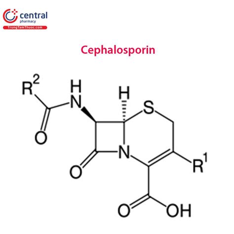 Nhóm Kháng Sinh Cephalosporin Những điều Cần Biết Từ A Z