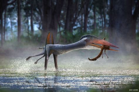 Hatzegopteryx Dinopedia Fandom