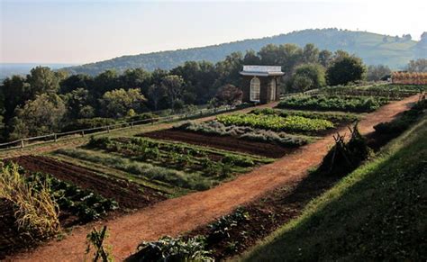 Veggie Garden Monticello The Vegetable Garden At Monticel Flickr