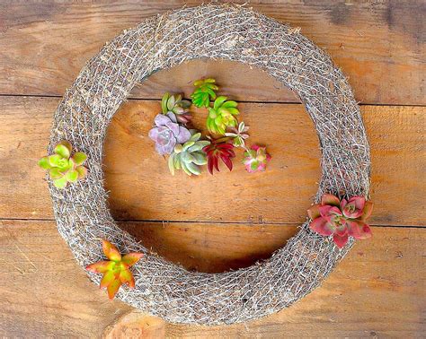 Moss Living Wreath Form For Succulents And Herbs Living Wreath