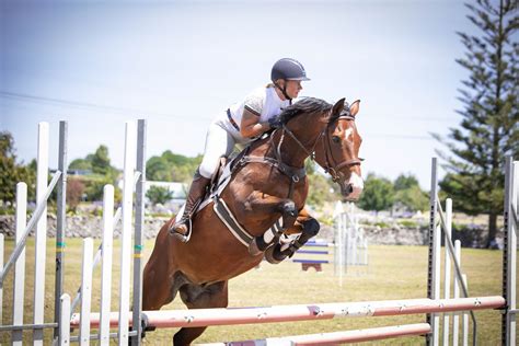 Show Jumping Courses Beginner Evolution Equestrian