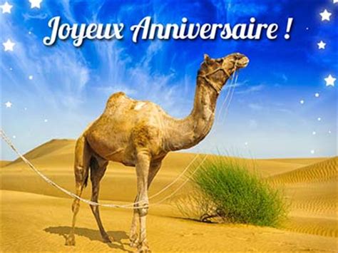 Modèles de textes anniversaire pour souhaiter un bon anniversaire. carte virtuelle dromadaire anniversaire
