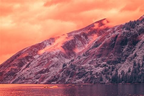 Infrared Photography Transforms Alaskan Landscape Into Another Planet