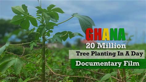 20 Million Tree Planting In Ghana Documentary Film Green Ghana Day