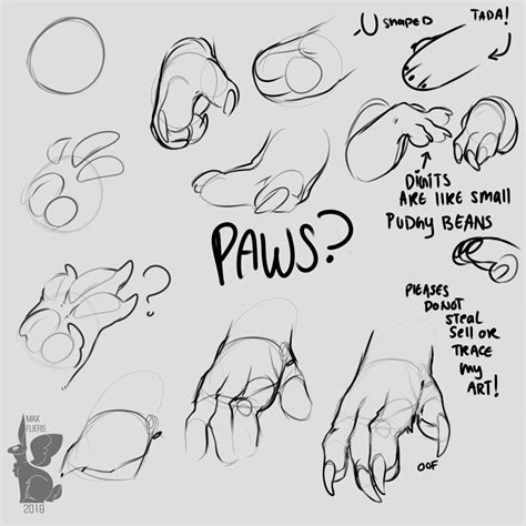 Paw Reference Tutorial Furry Amino