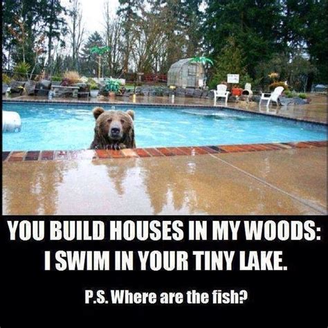 Lake House Funny Quotes Quotesgram