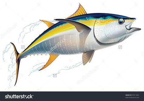 Yellowfin Tuna In Fast Motion Realistic Vector Illustration Peixes