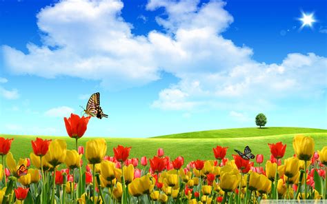Spring Theme Wallpapers 55 Background Pictures